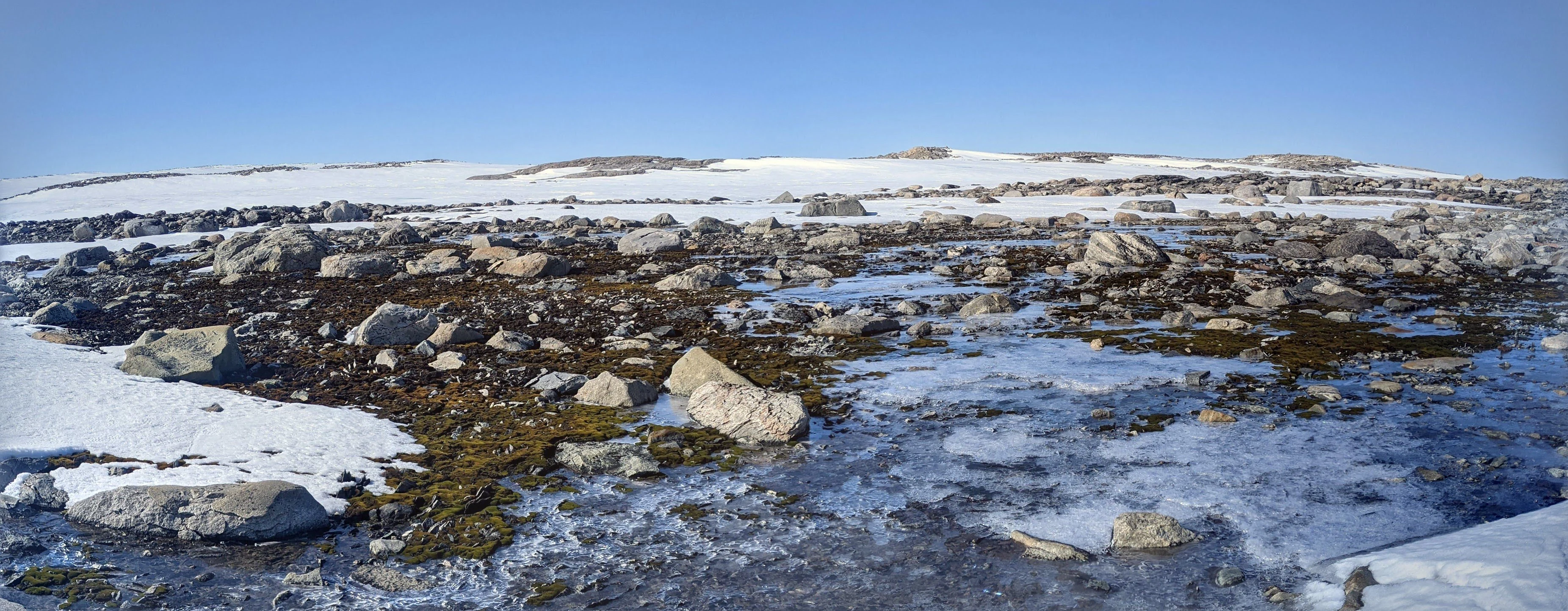 Antarctic panorama: sky, distant horizon, and tundra in the foreground