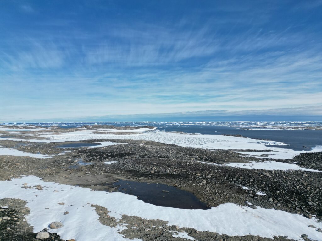Antarctic ecosystem mapping workflow on QUT News