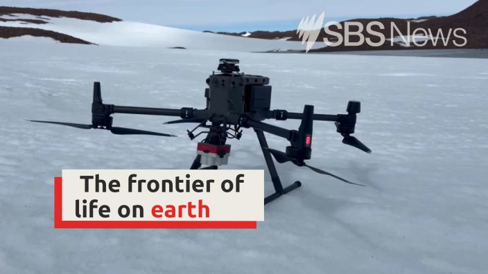 Bunger Hills field campaign featured on SBS News