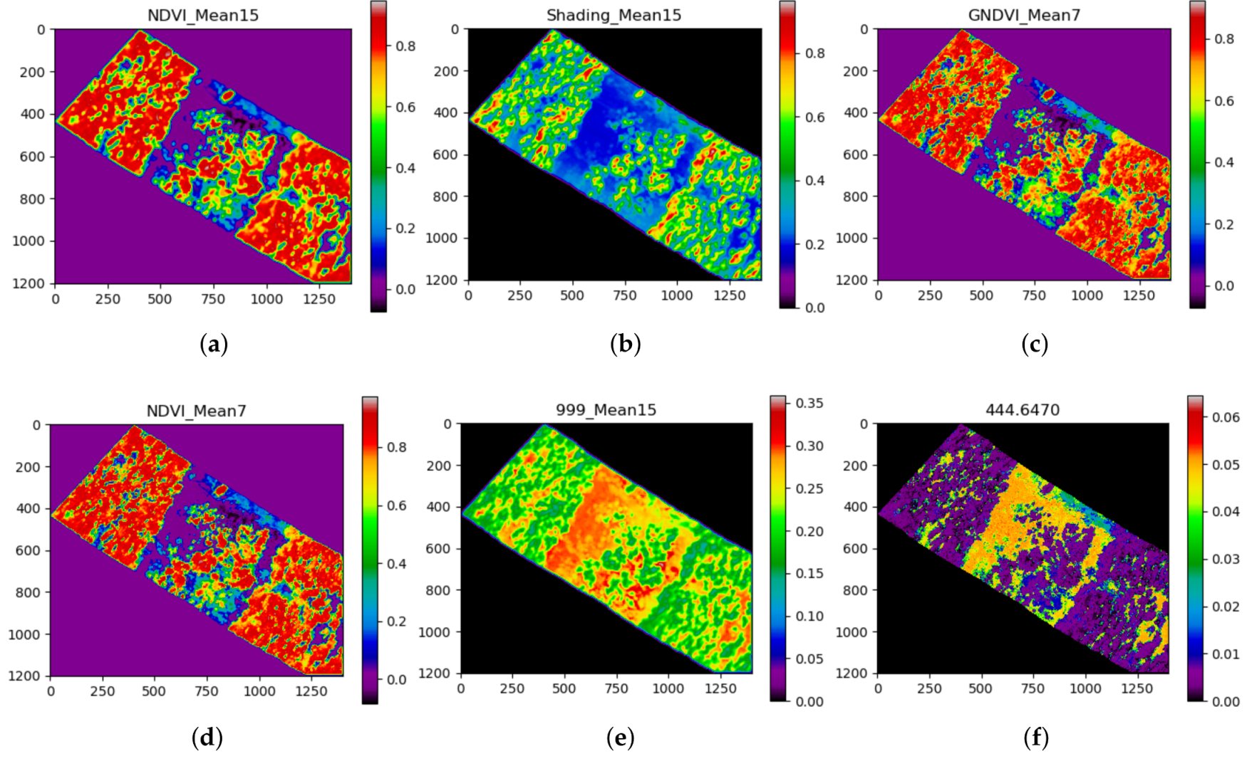 Hyperspectral myrtle-rust signature, Vanegas et al. 2018